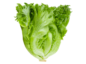 Whole Foods Market, Romaine Hearts Salad Bag Organic
